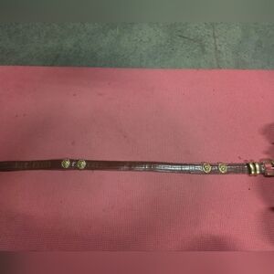 Brown Leather Belt with Gold Accents